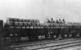 Wool bales stacked in railway trucks, Penshurst, circa 1922