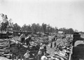 Unloading timber, Red Cliffs Station yard, circa 1924