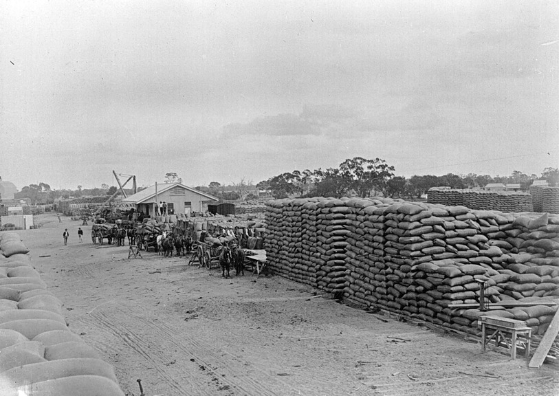 Constructing a grain stack, Warracknabeal rail yards, 1898