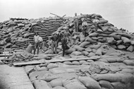 Ruined grain stacks after a mice plague, Warracknabeal Station, 1917