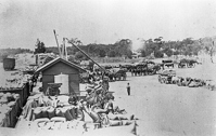 Unloading grain, Sea Lake Railway Station, circa 1905