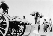 Unloading wheat, Raywood Station, circa 1934