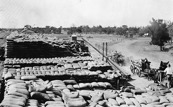 Wheat stacks at Sea Lake Railway Station, circa 1910