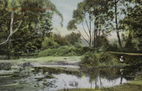 A young boy sitting on the bank of the Watts River with a fishing rod in the water, Healesville, circa 1907