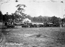 'First train to "Allwood"', Hurstbridge district, circa 1905. "Allwood" is not a known Victorian place name.