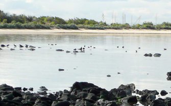 Rocky shoreline