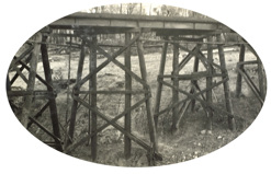 Chief Engineer Charles Perrin at the bottom of a timber pier of the Mundic Creek Bridge on the Bairnsdale to Orbost line, 1915