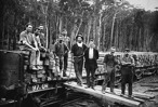 Workers unloading sleepers from a rail truck, Bairnsdale district, circa 1905