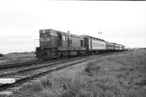 T class steam locomotive, Deer Park, 5 September 1973