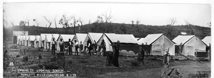 Powlett River Camp, 4 January 1910