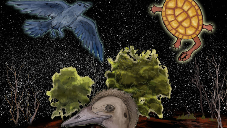 An illustration from Story in the Stars of an emu, crow and turtle