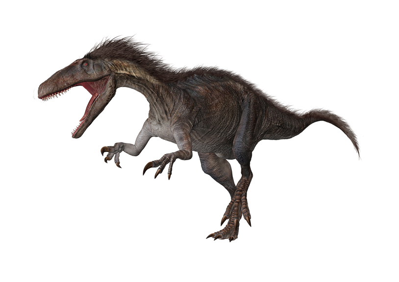 A fearsome, two-legged dinosaur with strong, grasping arms. 