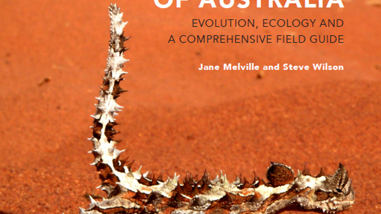 Dragon Lizards of Australia book cover