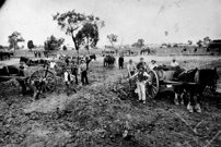Alterations at Benalla rail yards, circa 1913