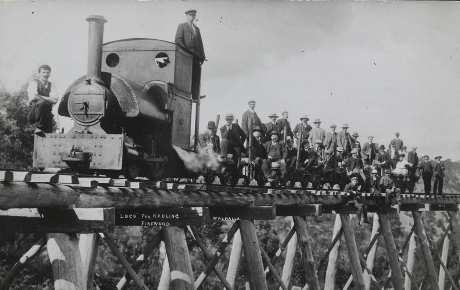 Narrow gauge locomotive with inspection train on firewood tramway near Walhalla, circa 1910