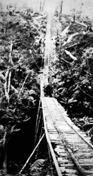 A timber worker standing on a log on a rail line, Beech Forest district, 1921