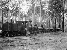 Workers on a timber train, Mullungdung, 1911