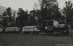A steam tram hauling timber, Warburton, pre-1910