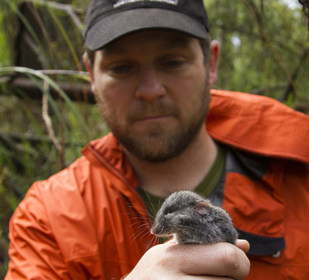 A man holds an adorable little mouse in his hands. 