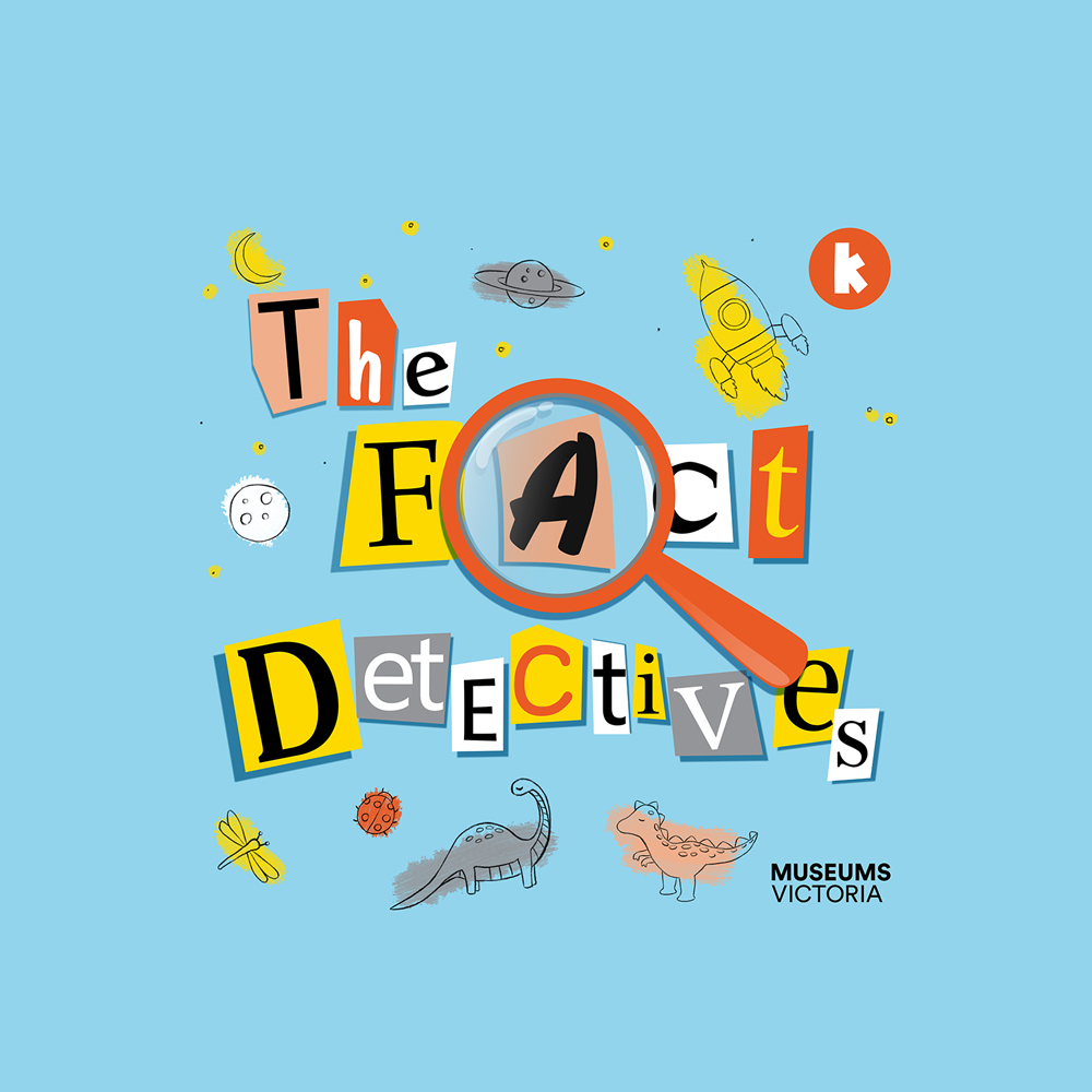 The Fact Detectives