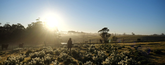 Still of a woman's sillouette walking amongst flowers in a country field with the sun setting behind her