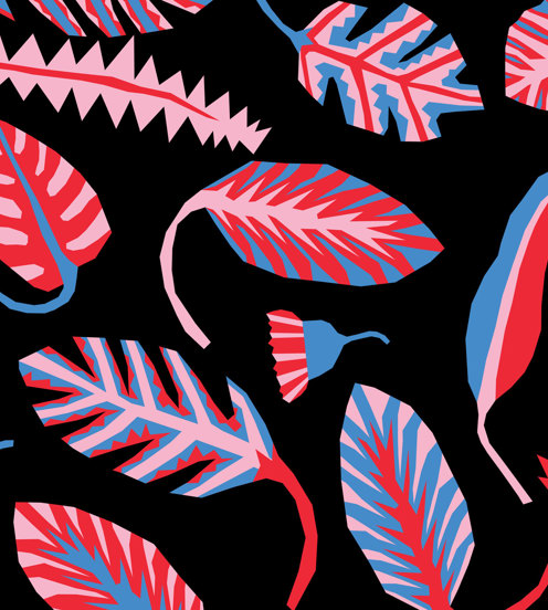 Coloured illustration of leaves, flowers and pods on a black background