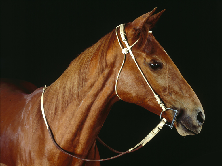Phar Lap