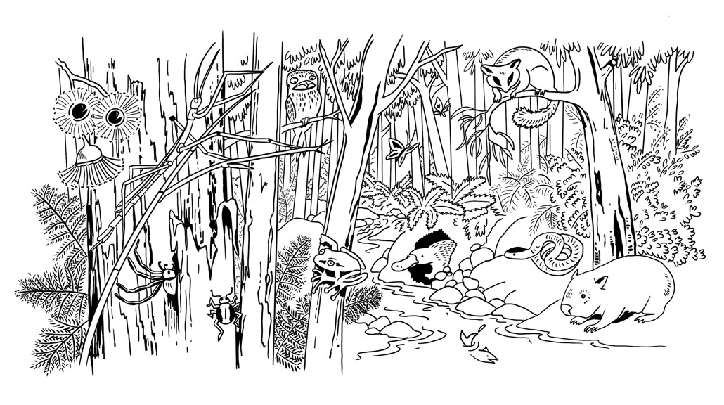 Black line drawing of a bush scene featuring wildlife