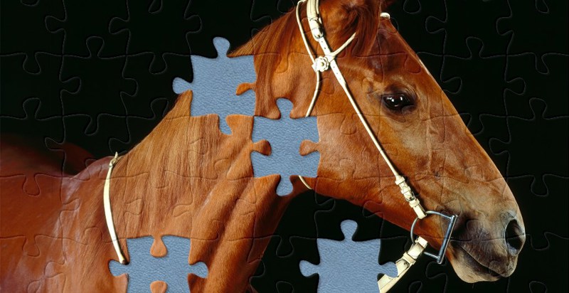 Puzzles