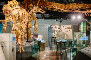 Science and Life Gallery, cocktail setting, Melbourne Museum
