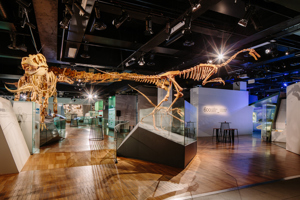Science and Life Gallery, cocktail setting, Melbourne Museum