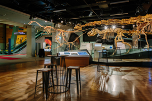 Science and Life Gallery, cocktail setting, Melbourne Museum