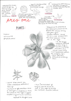 A page from a student design folio that shows  observational drawings in graphite pencil of succulent plants with hand written annotations