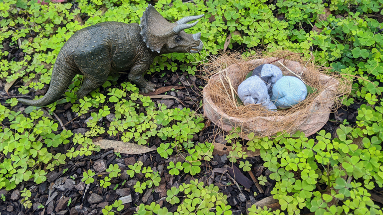 Build Your Own Dinosaur Nest