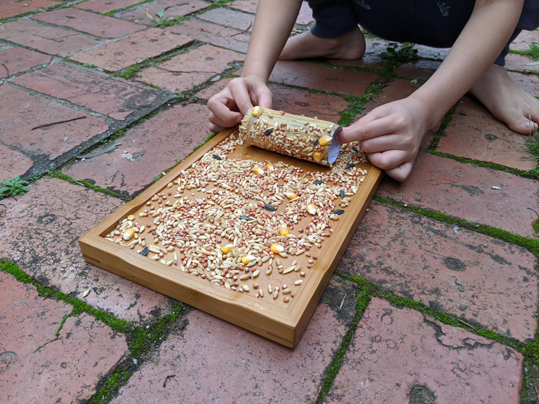 Make Your Own Bird Feeder