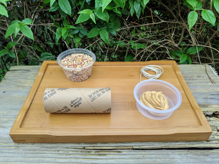 Make Your Own Bird Feeder