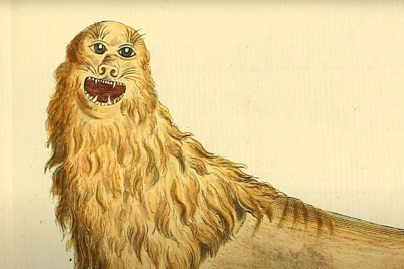 Unrealistic illustration of a Sea Lion