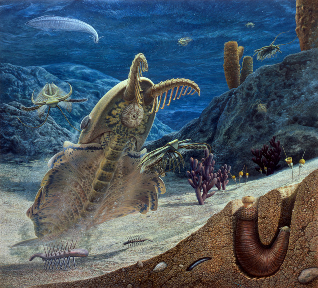 Illustration of Burgess Shale scene