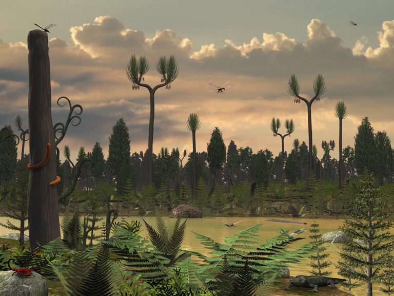 Ferns, seed ferns and giant lycopods