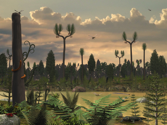 Ferns, seed ferns and giant lycopods