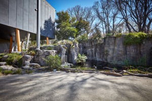 A concreted area in front of a pond with trees behind it and a modern building to the left