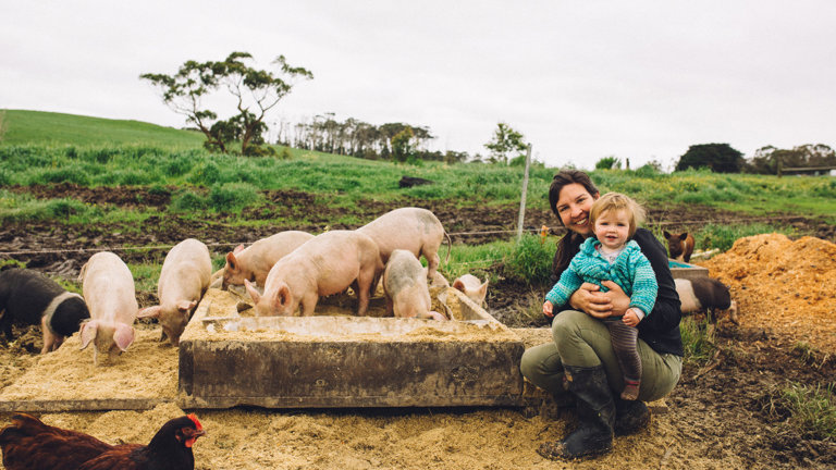 A farmer nurses her toddler amid a paddock of chickens and pigs.