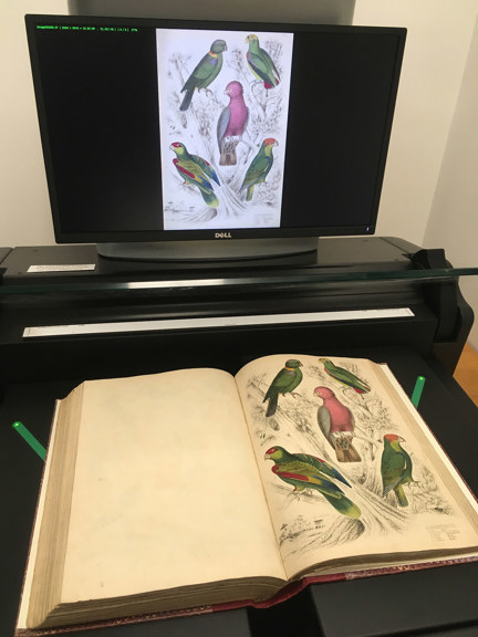 Rare book on a large book scanner