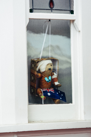 Injured Teddy Bear
