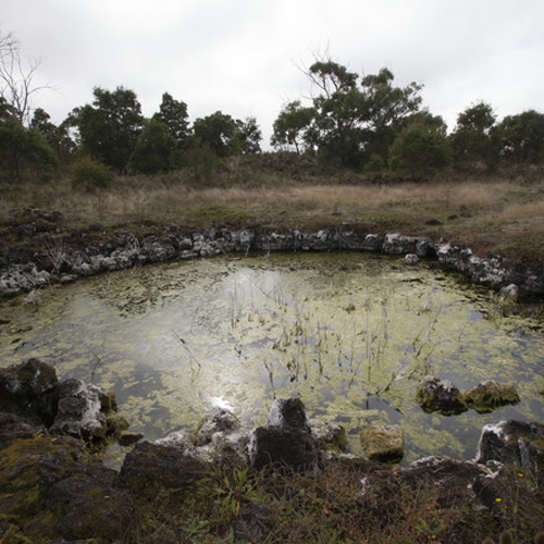 Field site, Muldoons Sinkhole, Lake Condah. Location: Australia, Victoria, Budj Bim National Heritage Landscape, Lake Condah, Muldoons.  Survey: BBLC 405.