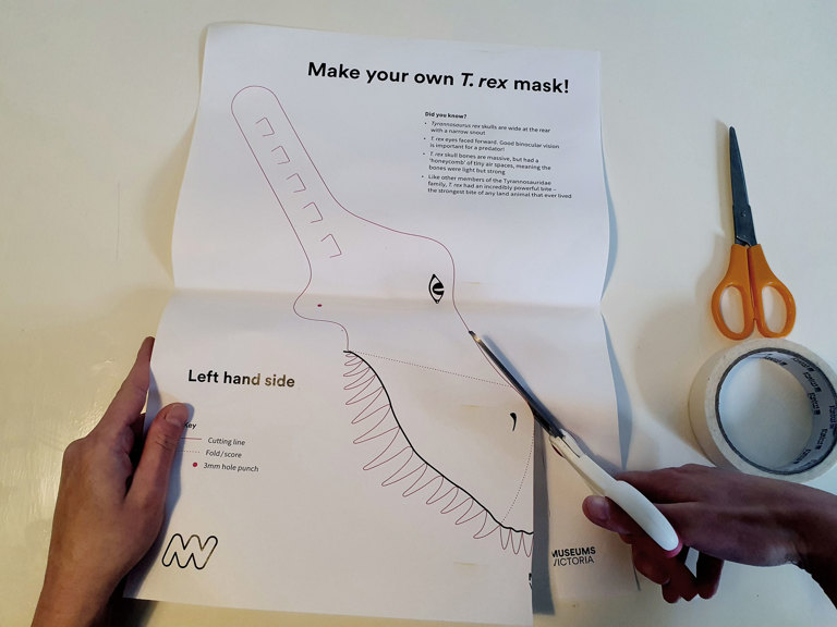 Cutting out the mask
