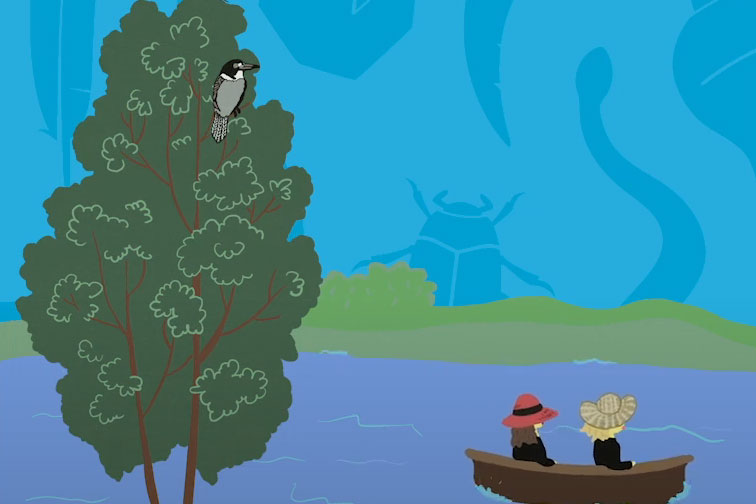 Screen shot of river animation