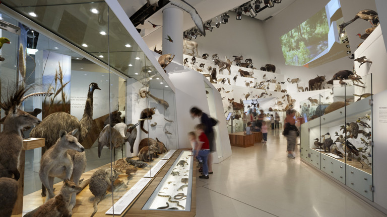 Visitors viewing a showcase