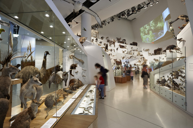 Visitors viewing a showcase