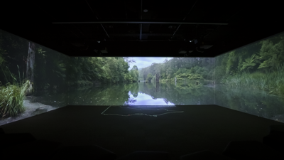 Scene from Victoria's Living Tapestry in the Learning lab at Melbourne Museum